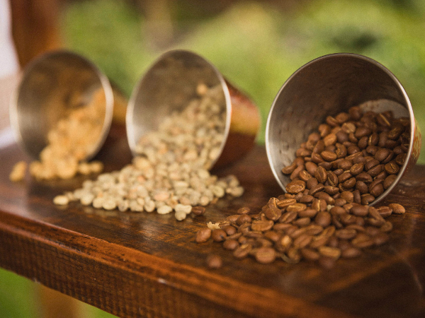 The Impact Of Grind Size On Different Machines photo